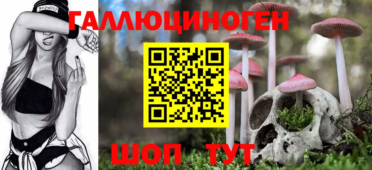 цены   Галлюциногенные грибы Cubensis  Вход с VPN  Батайск 